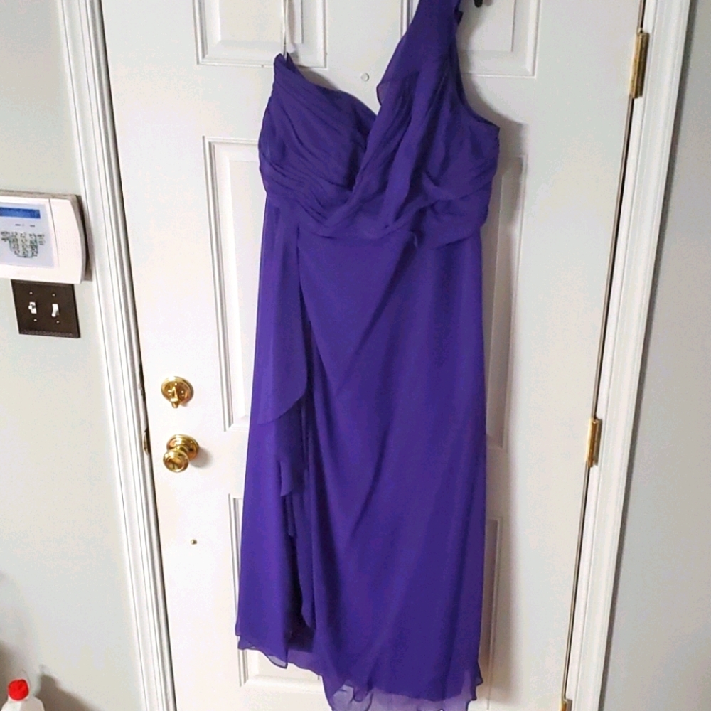 Womens  Purple gown